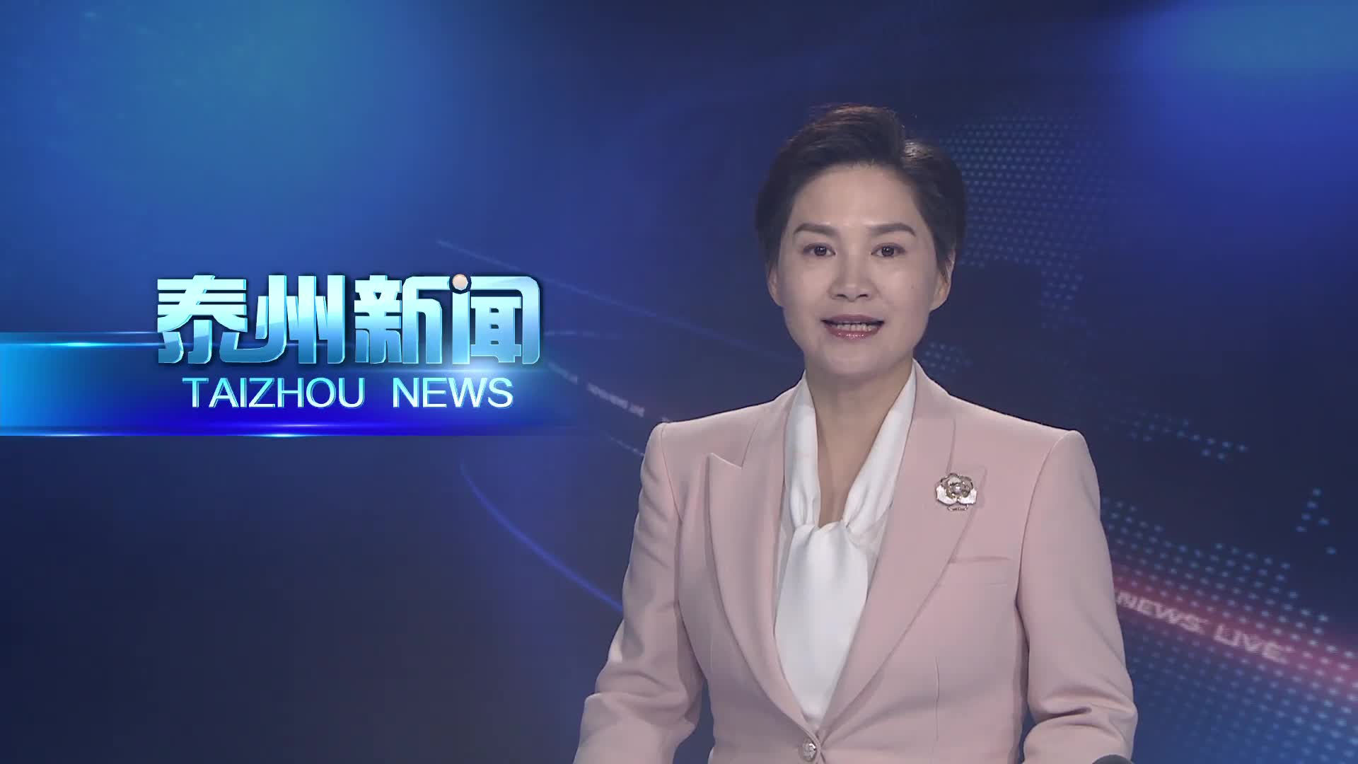 大抓经济 大抓产业 大抓项目  兴化：戴南仓储新地标启用 工业品服务网络再扩展